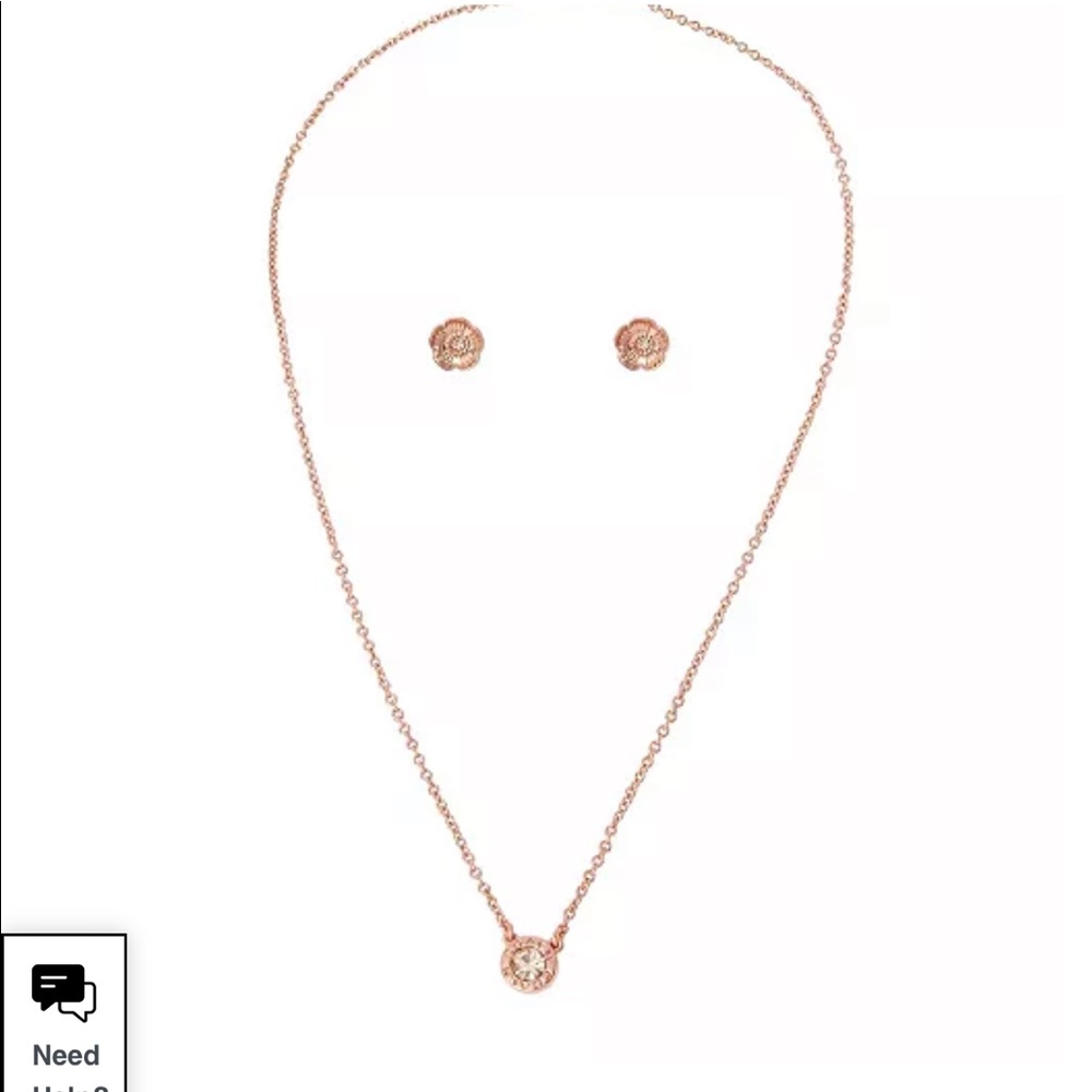 NWT coach rose earring and necklace set